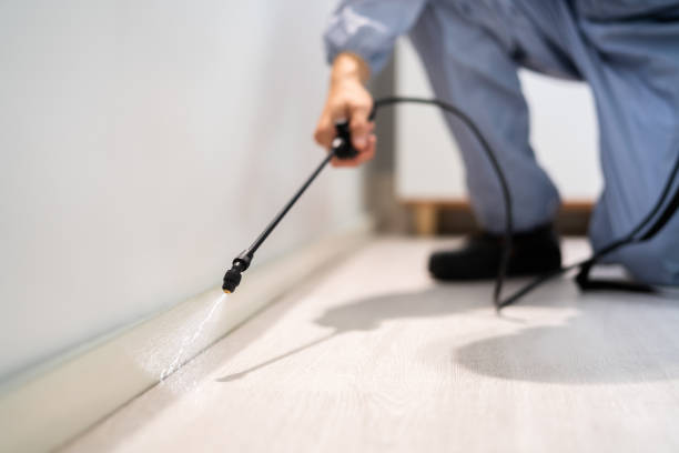 Licensed Exterminator service in Pontiac, IL - Show Me Pest Control